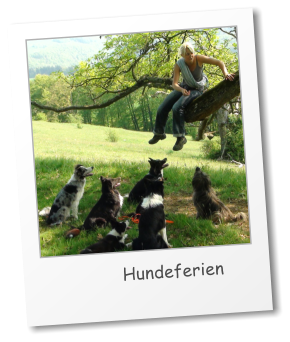 Hundeferien