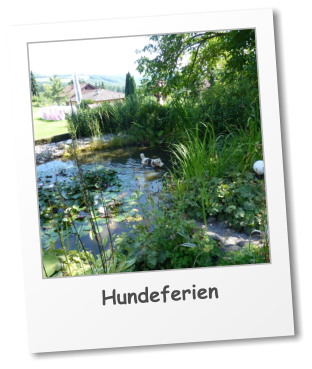 Hundeferien